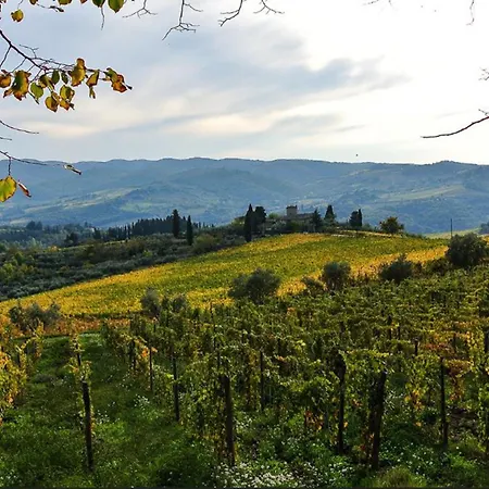 Padronale By Interhome Apartament Greve in Chianti