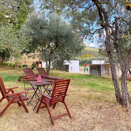 Padronale By Interhome Apartament Greve in Chianti