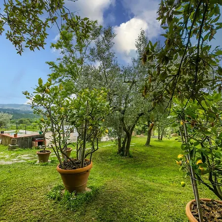 Padronale By Interhome Διαμέρισμα