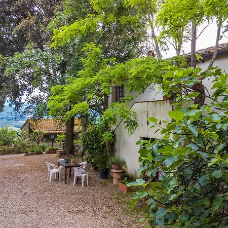 Padronale By Interhome Greve in Chianti
