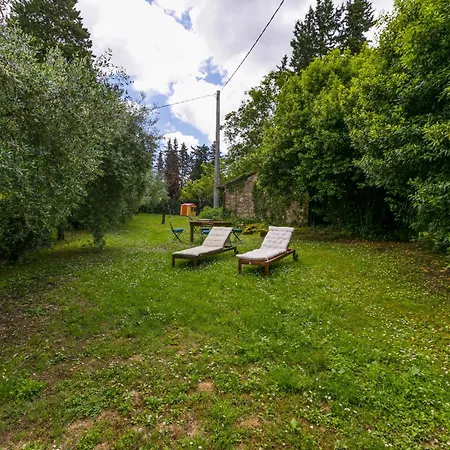 Padronale By Interhome Διαμέρισμα Greve in Chianti